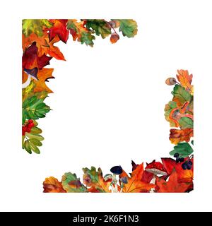 Aquarell Zeichnung von Ahornblättern und Pilzen in ornamentaler Bordüre. Rahmen mit Herbstreiher, Eicheln isoliert auf Hintergrund. Vorlage für Angebot, Einladung Stockfoto