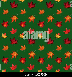 Aquarell nahtloses Muster mit herbstlichem roten und gelben Ahornblättern auf grauem Hintergrund. Botany Ahornblatt Illustration. Stoffvorlage. Stockfoto