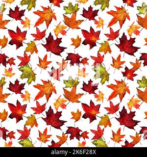 Aquarell nahtloses Muster mit herbstlichem roten und gelben Ahornblättern auf grauem Hintergrund. Botany Ahornblatt Illustration. Stoffvorlage. Stockfoto