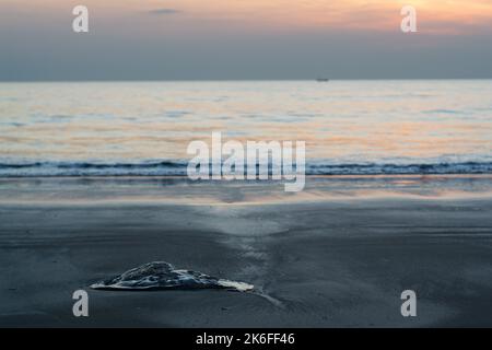 Sonnenuntergang am längsten Strand der Welt in Cox's Bazar, Bangladesch Stockfoto