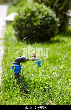 Wasserhahn in einem Park, um den Wasserschlauch darauf einzustellen, um das grüne Gras im öffentlichen Park zu hydratisieren. Chrom Wasserhahn in Natur Hintergrund Stockfoto