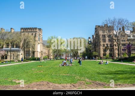 New Haven, Connecticut, Vereinigte Staaten von Amerika – 28. April 2017. Innenhof auf dem Cross Campus der Yale University in New Haven, CT. Blick Richtung Bas Stockfoto