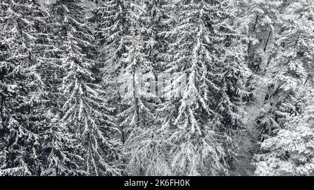 Winter in Viimsi, Estland Stockfoto