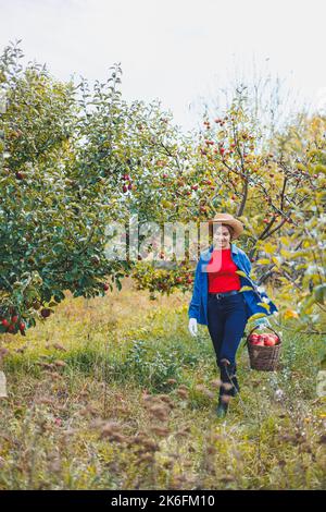 Eine junge Frau im Hut, eine Arbeiterin im Garten, trägt rote reife Äpfel in einem Weidenkorb. Apfelernte im Herbst. Stockfoto