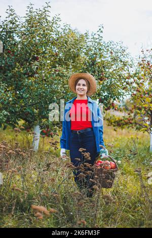 Eine junge Frau im Hut, eine Arbeiterin im Garten, trägt rote reife Äpfel in einem Weidenkorb. Apfelernte im Herbst. Stockfoto