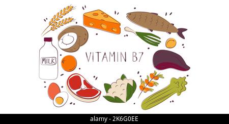 Vitamin B7 Biotin. Gruppen von gesunden Lebensmitteln, die Vitamine enthalten. Set aus Obst, Gemüse, Fleisch, Fisch und Milchprodukten Stock Vektor