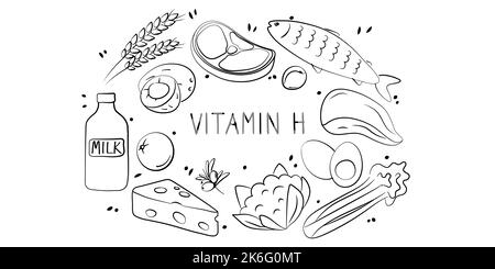 Vitamin H Biotin. Gruppen von gesunden Lebensmitteln, die Vitamine enthalten. Set aus Obst, Gemüse, Fleisch, Fisch und Milchprodukten. Stock Vektor