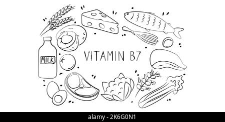 Vitamin B7 Biotin. Gruppen von gesunden Lebensmitteln, die Vitamine enthalten. Set aus Obst, Gemüse, Fleisch, Fisch und Milchprodukten Stock Vektor