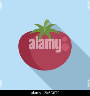 GMO-Tomatensymbol flacher Vektor. DNA-Lebensmittel. Medizinwissenschaft Stock Vektor