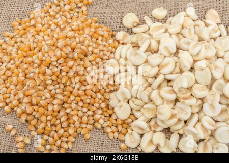 Nahaufnahme von getrockneten weißen Mais-/Maiskörnern, die in Mexiko als Mote bekannt sind, und der gelben Popcornsorte - möglicherweise Zea mays var. Everta oder ähnliche Sorte. Stockfoto