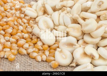 Nahaufnahme von getrockneten weißen Mais-/Maiskörnern, die in Mexiko als Mote bekannt sind, und der gelben Popcornsorte - möglicherweise Zea mays var. Everta oder ähnliche Sorte. Stockfoto