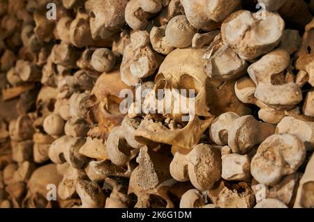 Schädel und Knochen im Beinhaus Stockfoto