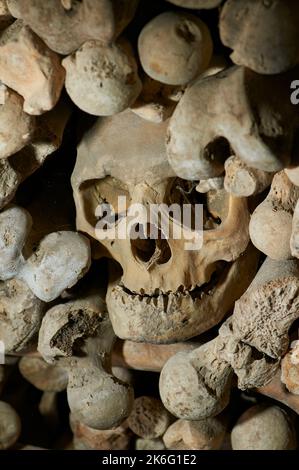 Schädel und Knochen im Beinhaus Stockfoto