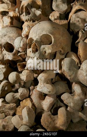 Schädel und Knochen im Beinhaus Stockfoto