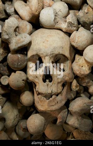 Schädel und Knochen im Beinhaus Stockfoto