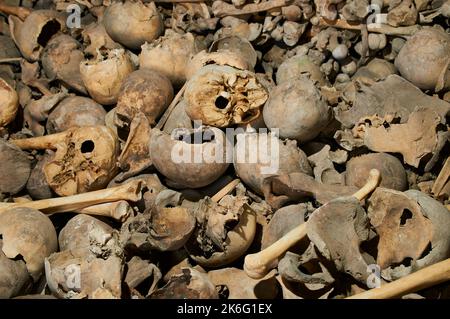 Schädel und Knochen im Beinhaus Stockfoto