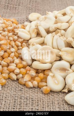 Nahaufnahme von getrockneten weißen Mais-/Maiskörnern, die in Mexiko als Mote bekannt sind, und der gelben Popcornsorte - möglicherweise Zea mays var. Everta oder ähnliche Sorte. Stockfoto