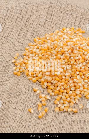 Nahaufnahme von ausgetrocknetem Popcorn Mais / Maiskörnern auf Jute-Sacking - Sorte möglicherweise Zea mays var. Alles. Stockfoto