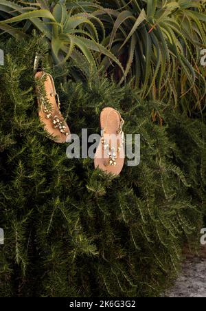 Schmucksandalen auf grünen Pflanzen Stockfoto