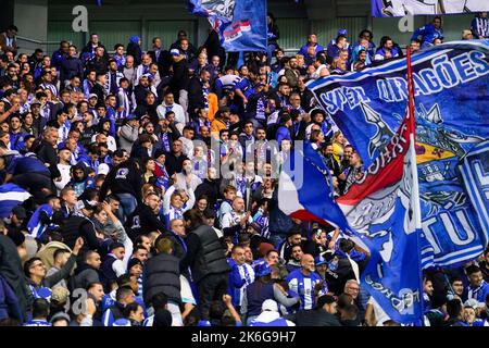 LEVERKUSEN, DEUTSCHLAND - 12. OKTOBER: Fans und Unterstützer des FC Porto beim Spiel der Gruppe B - UEFA Champions League zwischen Bayer 04 Leverkusen und dem FC Porto in der BayArena am 12. Oktober 2022 in Leverkusen, Deutschland (Foto: Joris Verwijst/Orange Picters) Stockfoto