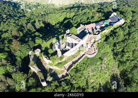 Die Burgruine Madenburg gehört zu den größten und bedeutendsten Schlossanlagen der Pfalz. Drohnenfotografie. Stockfoto