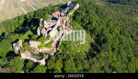 Die Burgruine Madenburg gehört zu den größten und bedeutendsten Schlossanlagen der Pfalz. Drohnenfotografie. Stockfoto