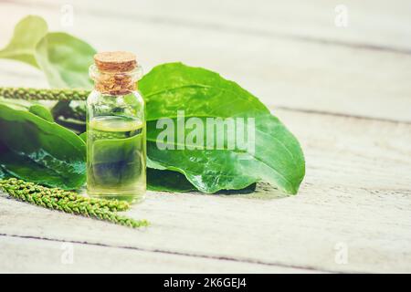 Auszug aus Kochbananen in einem kleinen Glas. Selektiver Fokus. Natur. Stockfoto