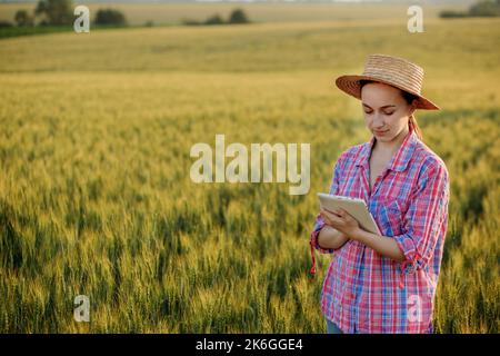 Ein junger Fcrmer überprüft ein Getreidefeld und sendet Daten von einer Tablette an die Wolke. Konzept von Smart Farming und digitaler Landwirtschaft. Erfolgreiche Produktion Stockfoto