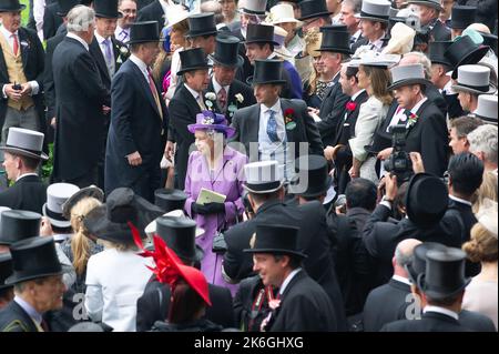 Ascot, Bergen, Großbritannien. 20.. Juni 2013. Ihre Majestät, die Königin, war sichtlich erfreut, als ihr Pferd Estimate heute am Ladies Day im Royal Ascot den Ascot Gold Cup gewann. Dies war ein historischer Tag, da es das erste Mal war, dass ein regierender Monarch den Gold Cup gewonnen hatte. Die Schätzung wurde von Jockey Ryan Moore geritten. Königin Elizabeth II. War wegen der Präsentation für den Gold Cup, aber ihr Sohn, der Herzog von York, führte die Präsentation stattdessen. Ausgabedatum: 14.. Oktober 2022. Quelle: Maureen McLean/Alamy Stockfoto