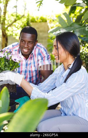 Vertikales Bild eines fröhlichen Paares, das gemeinsam im Garten Blumen in einem sonnigen Garten pflanzt Stockfoto