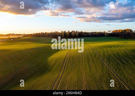 Luftaufnahme der schönen Landschaft mit grünen Rollfeld in der goldenen Stunde vor Sonnenuntergang Stockfoto