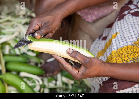 Die ostafrikanische Highland Banana, eine stärkehaltige, herzhafte Banane, die lokal als Matoke bekannt ist, ist ein Grundnahrungsmittel in Zentral- und Westugandand, Ostafrika. Stockfoto