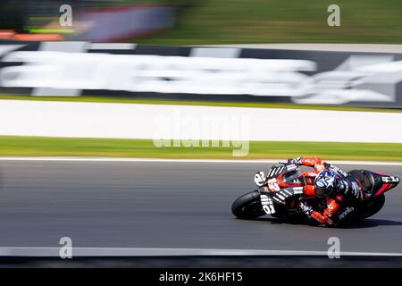 14.. Oktober 2022; Phillip Island Grand Prix Circuit, Melbourne, Victoria, Australien: MotGP von Australien, Freies Training und Qualifying-Tag: Aprilia Rennfahrer Maverick Vinales beim Freitraining 1 beim australischen MotoGP Stockfoto