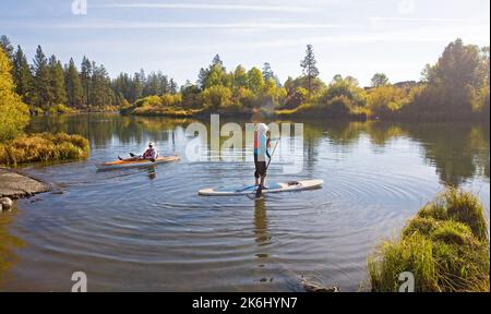 Kajakfahren und Stand-up-Paddleboarding sind auf dem Deschutes River in der Nähe von Bend, Oregon, beliebt, vor allem im Herbst, wenn die Espenbäume entlang der riv Stockfoto
