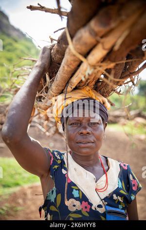 Eine Frau trägt im Distrikt Abim, Uganda, Ostafrika, ein Feuerholz-Paket auf ihrem Kopf. Stockfoto