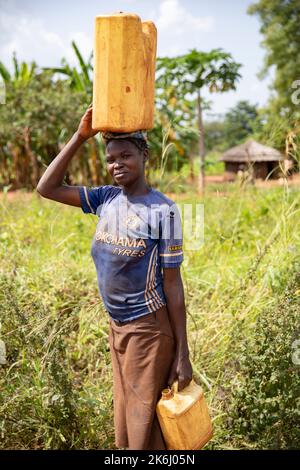 Frauen gehen lange Wege, um Wasser nach Hause zu bringen im Distrikt Abim, Uganda, Ostafrika. Stockfoto