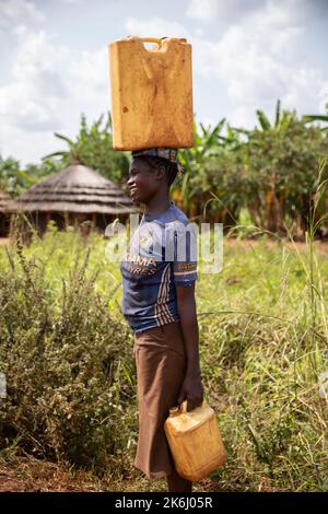 Frauen gehen lange Wege, um Wasser nach Hause zu bringen im Distrikt Abim, Uganda, Ostafrika. Stockfoto