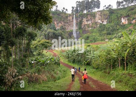 Üppiges Grün um einen Wasserfall auf dem Mount Elgon, Uganda, Ostafrika Stockfoto