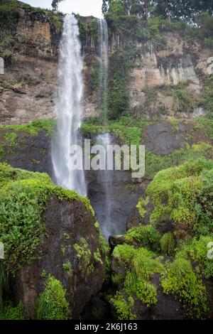 Üppiges Grün um einen Wasserfall auf dem Mount Elgon, Uganda, Ostafrika Stockfoto