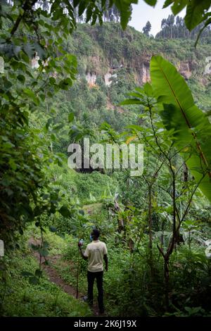 Üppiges Grün um einen Wasserfall auf dem Mount Elgon, Uganda, Ostafrika Stockfoto