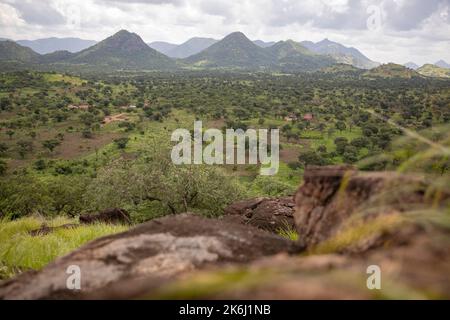 Grünes Tal unter den Hügeln des Distrikts Abim, Uganda, Ostafrika Stockfoto