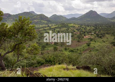Grünes Tal unter den Hügeln des Distrikts Abim, Uganda, Ostafrika Stockfoto