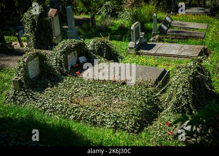 SIGHISOARA, MURES, RUMÄNIEN - 09. MAI 2021: Ansicht des evangelischen Friedhofs von der Zitadelle von Sighisoara, Siebenbürgen. Stockfoto