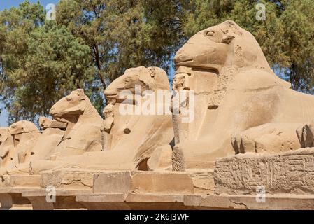 Große Statuen von RAM-headed Sphinxes im alten ägyptischen Karnak-Tempel unten Avenue Stockfoto