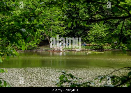 SOVATA, MURES, RUMÄNIEN – 29. MAI 2021: Landschaft mit Bärensee (Lacul Ursu) in Sovata Resort, Siebenbürgen, Rumänien. Stockfoto