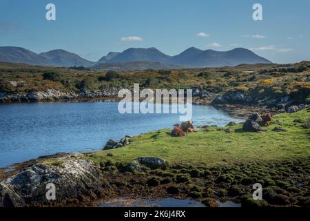 Wunderschöne Naturlandschaft in der touristischen Region Connemara, County Galway in Irland Stockfoto