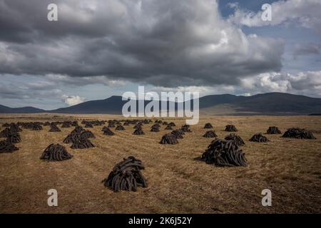 Maschinell geschnittener Rasen trocknet in der riesigen Landschaft des Nordwestirlands. Stockfoto