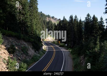 Bergautobahn schlängelt sich durch den Wald im Mount Rainier National Park Stockfoto