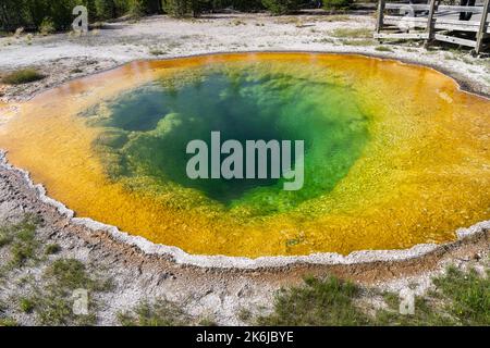 Die farbenfrohe, berühmte Morning Glory Pool Hot Spring im Yellowstone National Park USA Stockfoto
