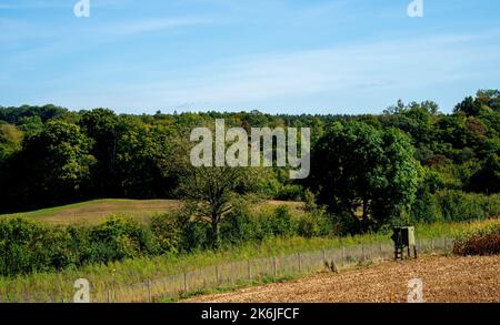 Waldlandschaft mit Jägersitz in der Nähe von Moresnet, Belgien Stockfoto